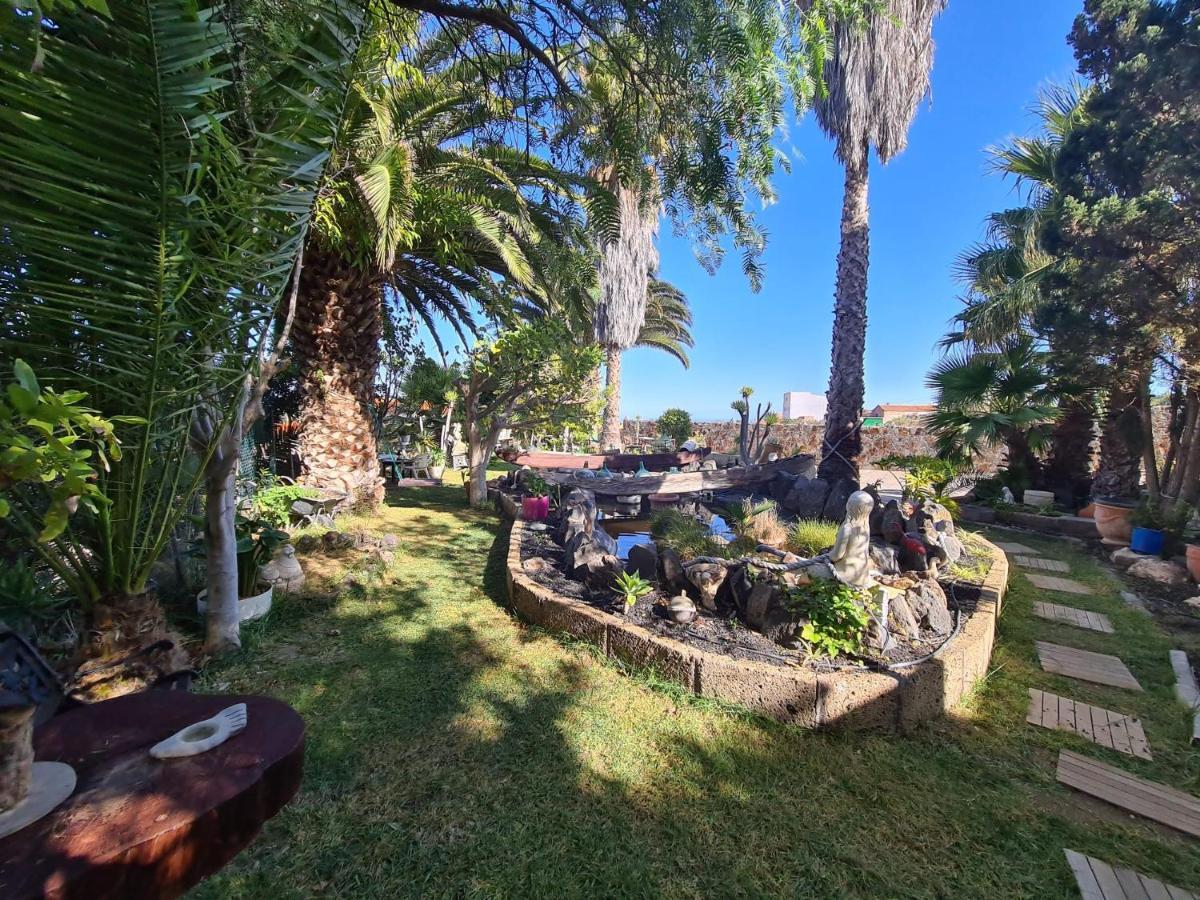 Finca Tropical Арико-Вьехо Экстерьер фото