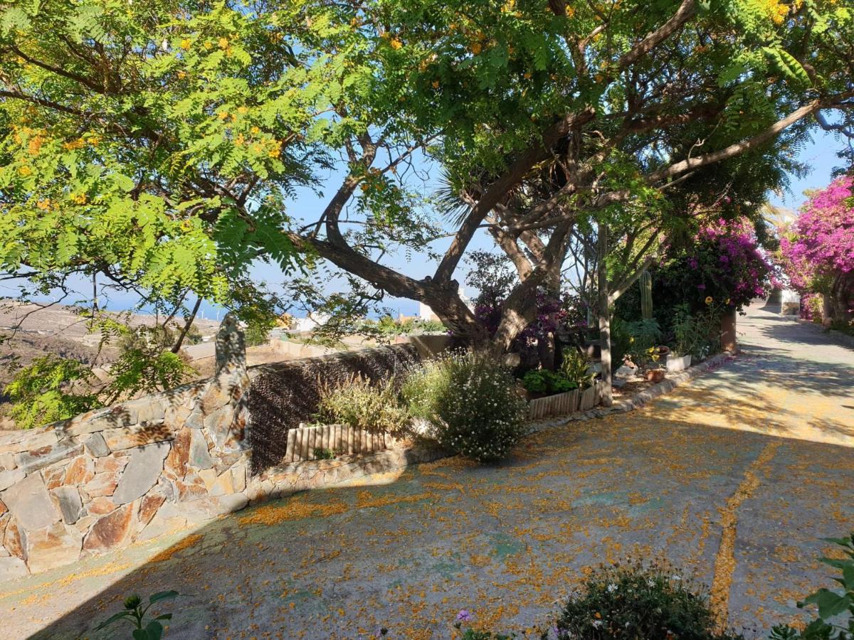 Finca Tropical Арико-Вьехо Экстерьер фото