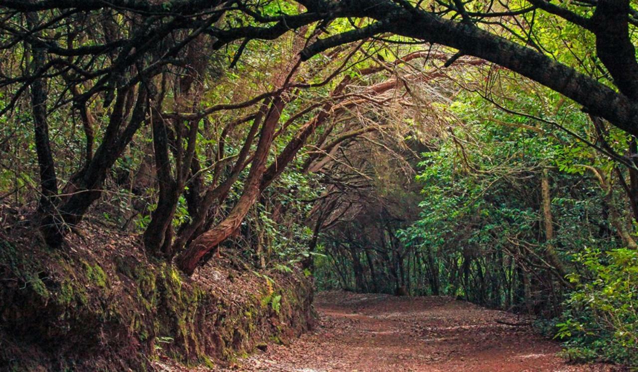 Finca Tropical Арико-Вьехо Экстерьер фото